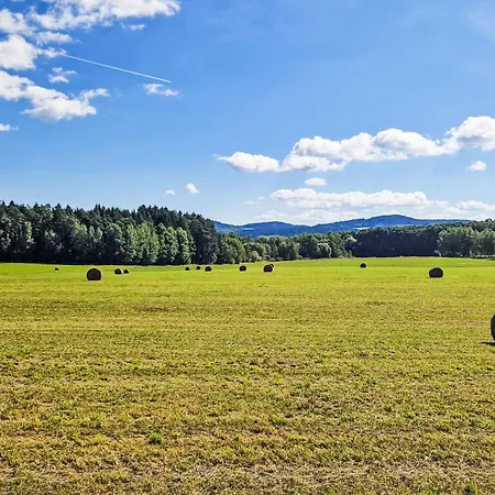 Apartamento Pěkná By Interhome Horní Planá