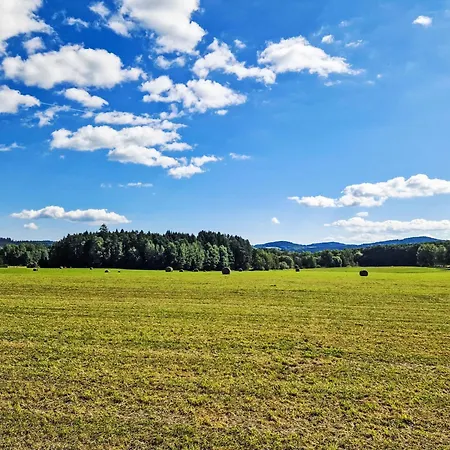 Pěkná By Interhome Horní Planá
